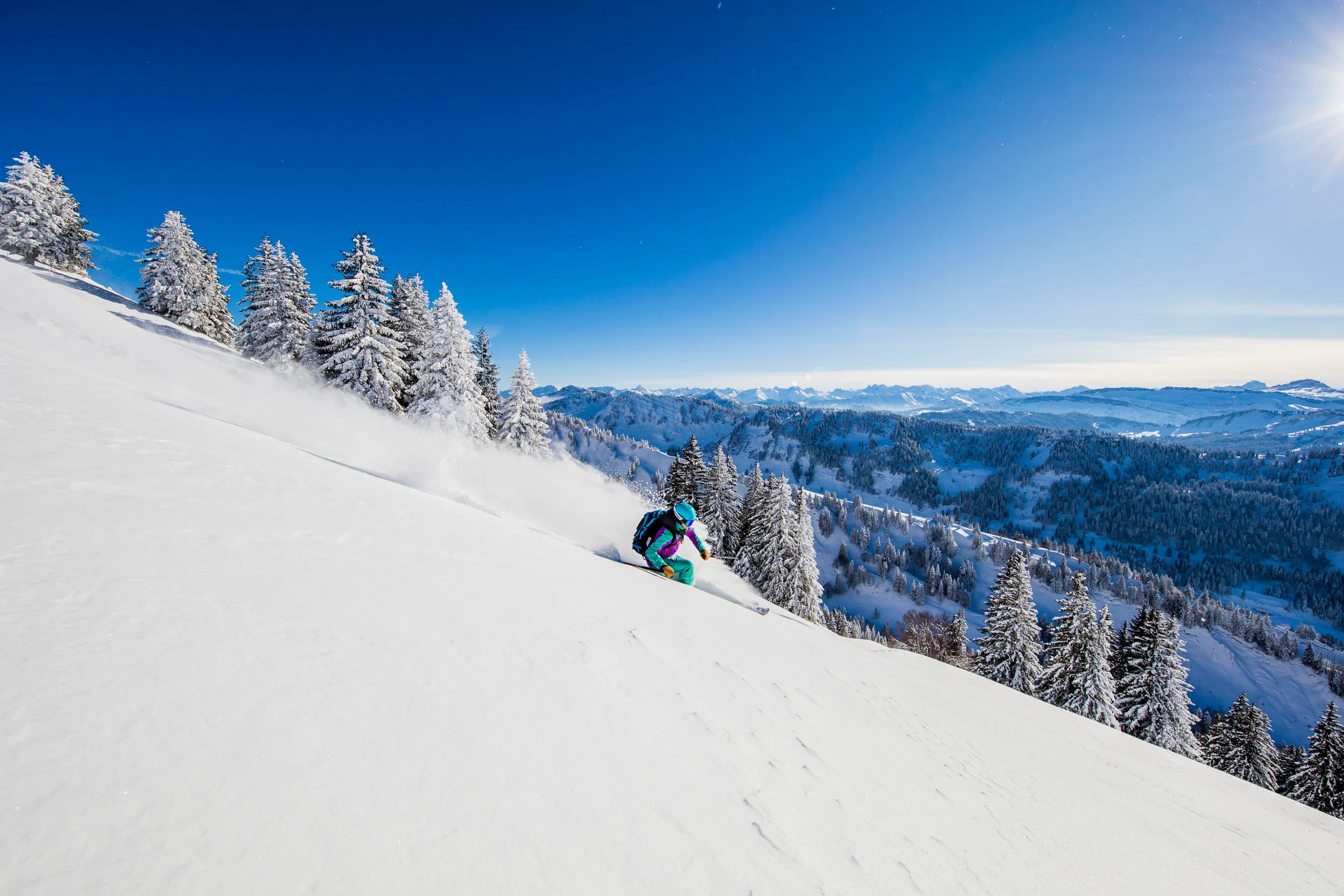 Skifahrerin quert einen offenen Hang zwischen tief verschneiten Tannen.