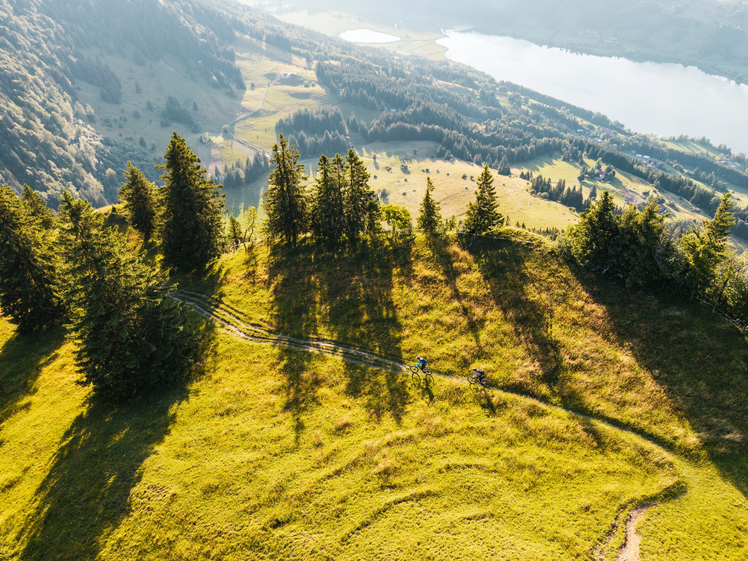 Zwei Mountainbiker fahren über eine sonnenbeschienene Bergwiese oberhalb des Alpsees