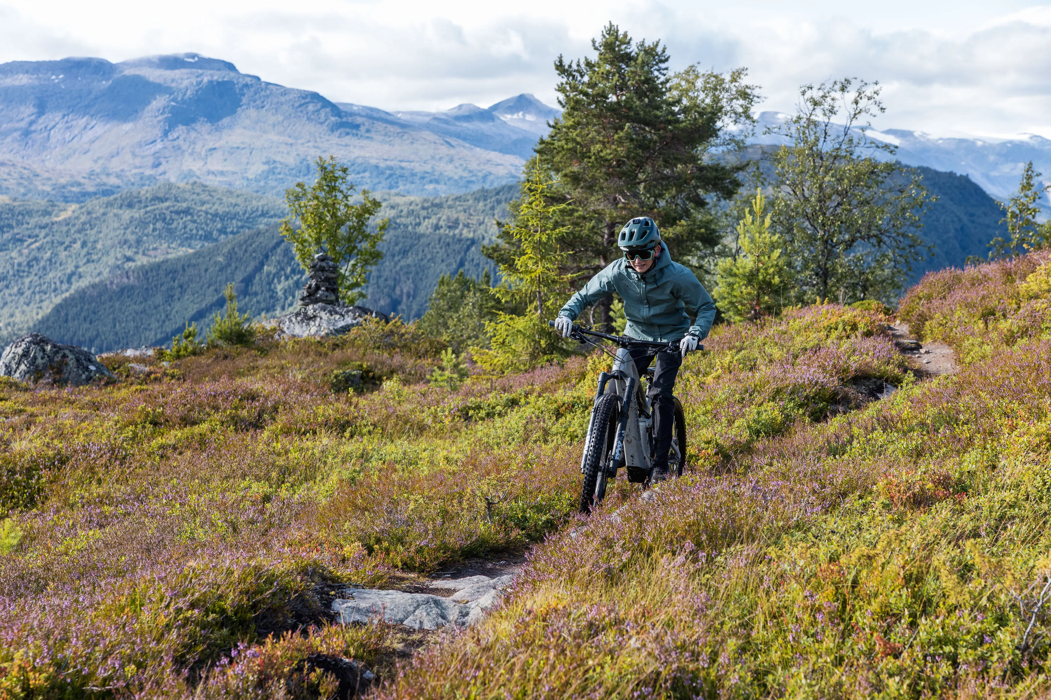 Mountainbiker fährt durch eine enge Kurve zwischen violettem Heidekraut und Felsen