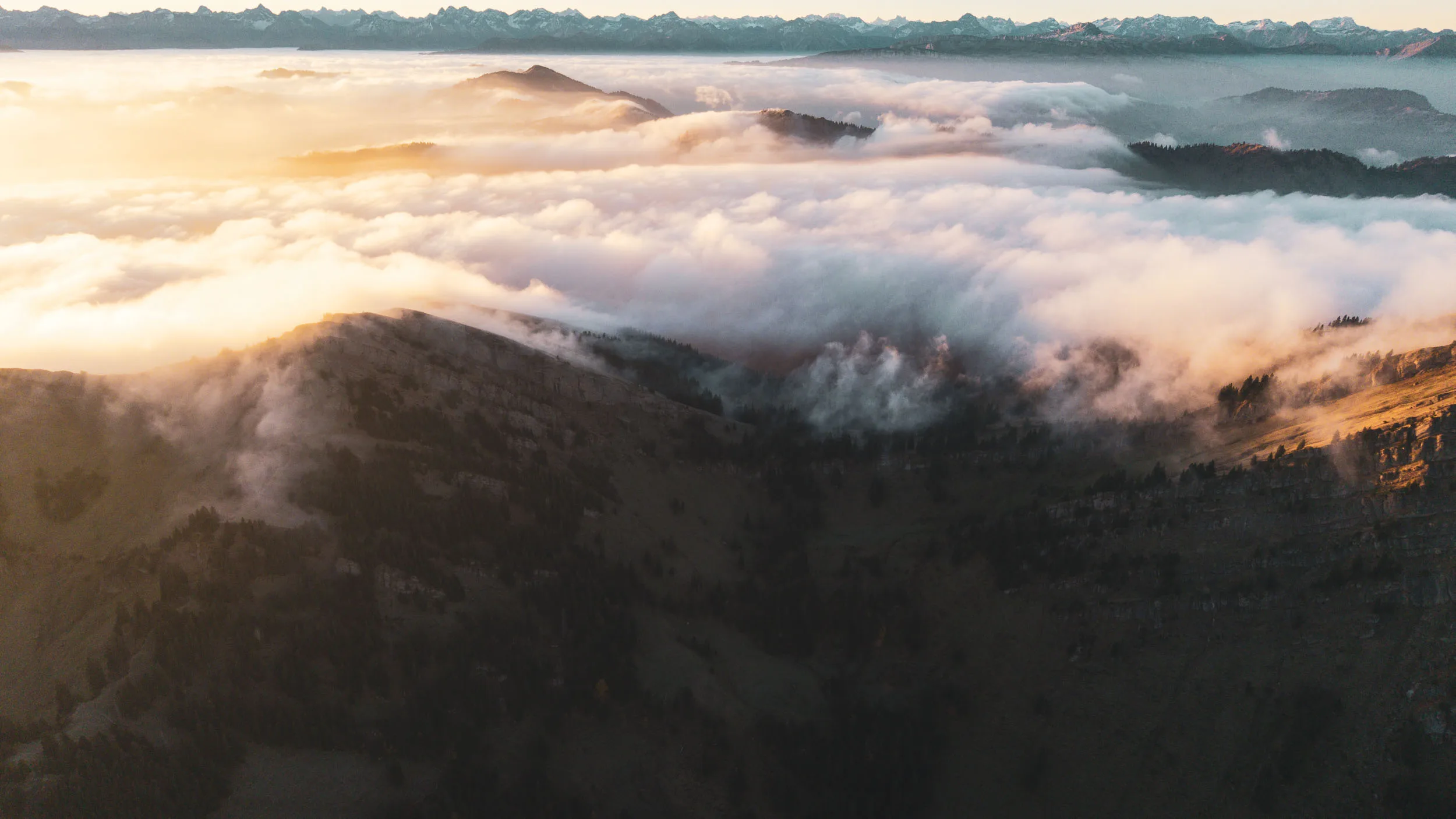 Herbstliche Bergrücken liegen im warmen Licht über einem weiten Wolkenmeer