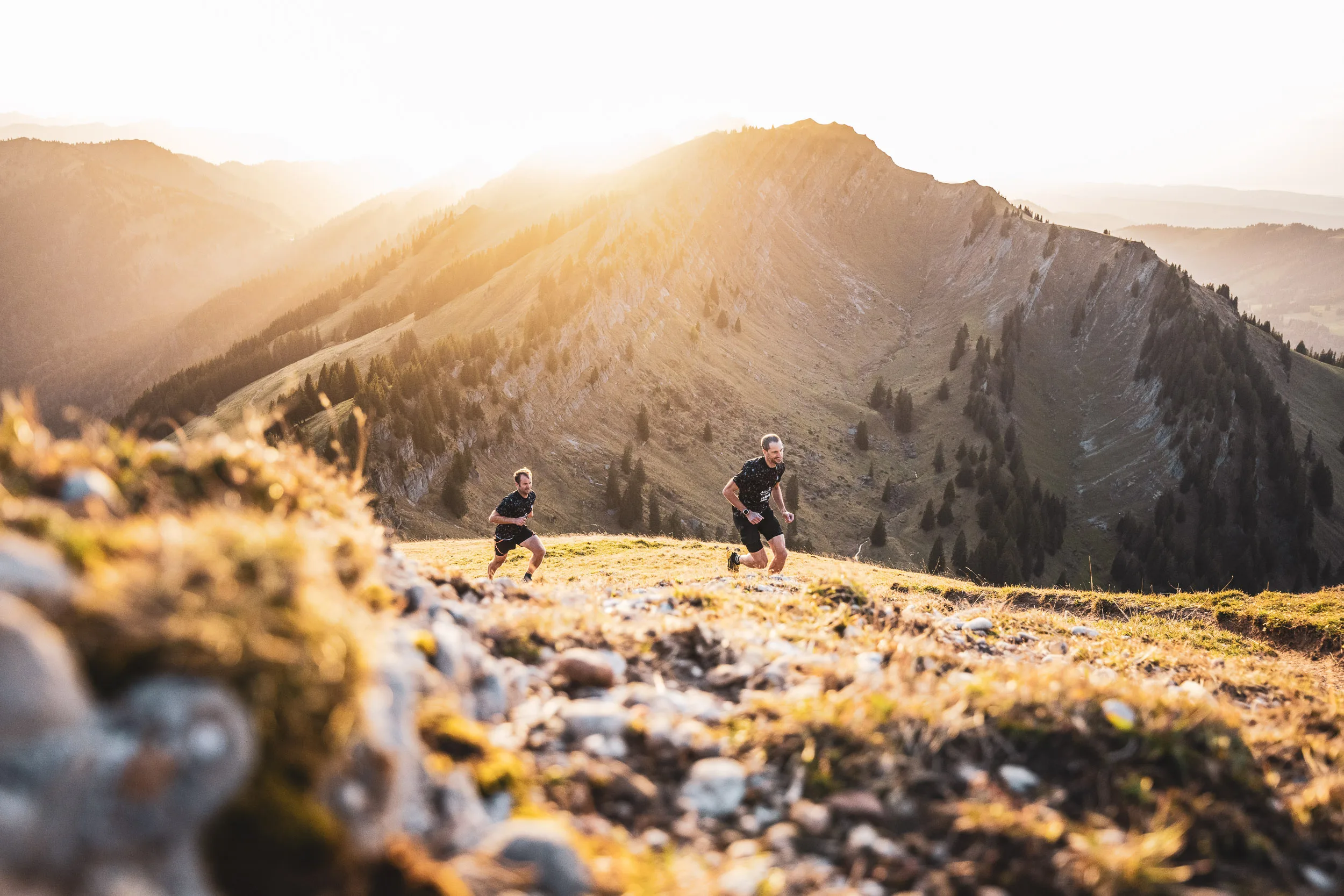 Trailrunner laufen tief aufgenommen ueber Gras und Gestein im goldenen Abendlicht