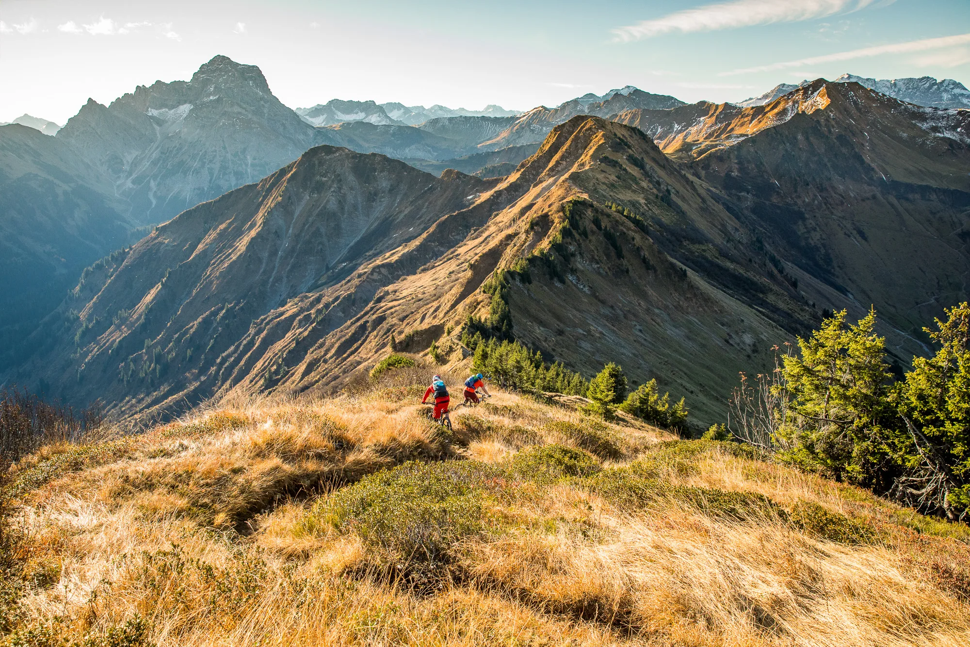 Drei Mountainbiker auf einem schmalen Wiesenweg in tiefem Abendlicht