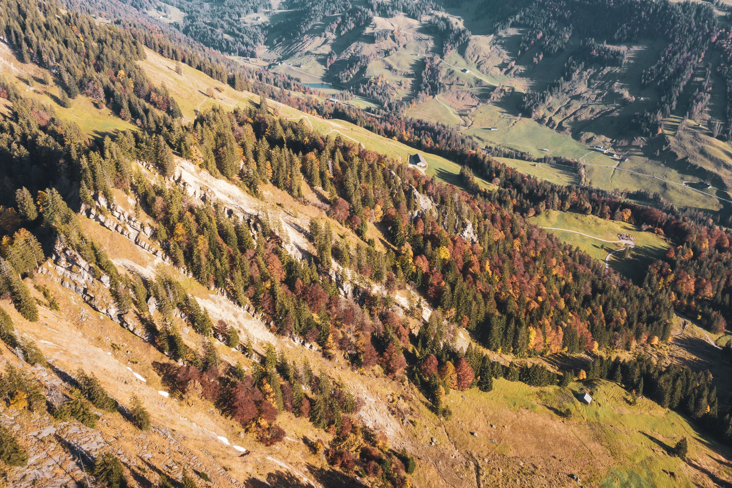 Drohnenblick über helle Felsrippen, Herbstwald und die offenen Hänge der Nagelfluhkette.