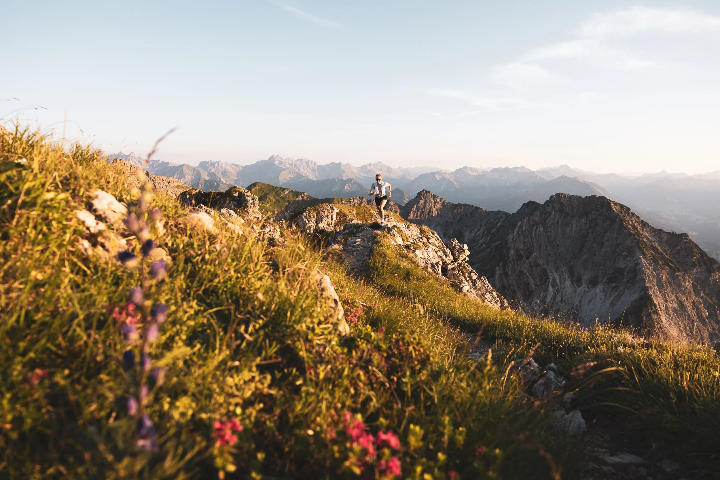 Trailrunnerin zwischen Bergblumen auf einem Grat vor den Allgäuer Alpen