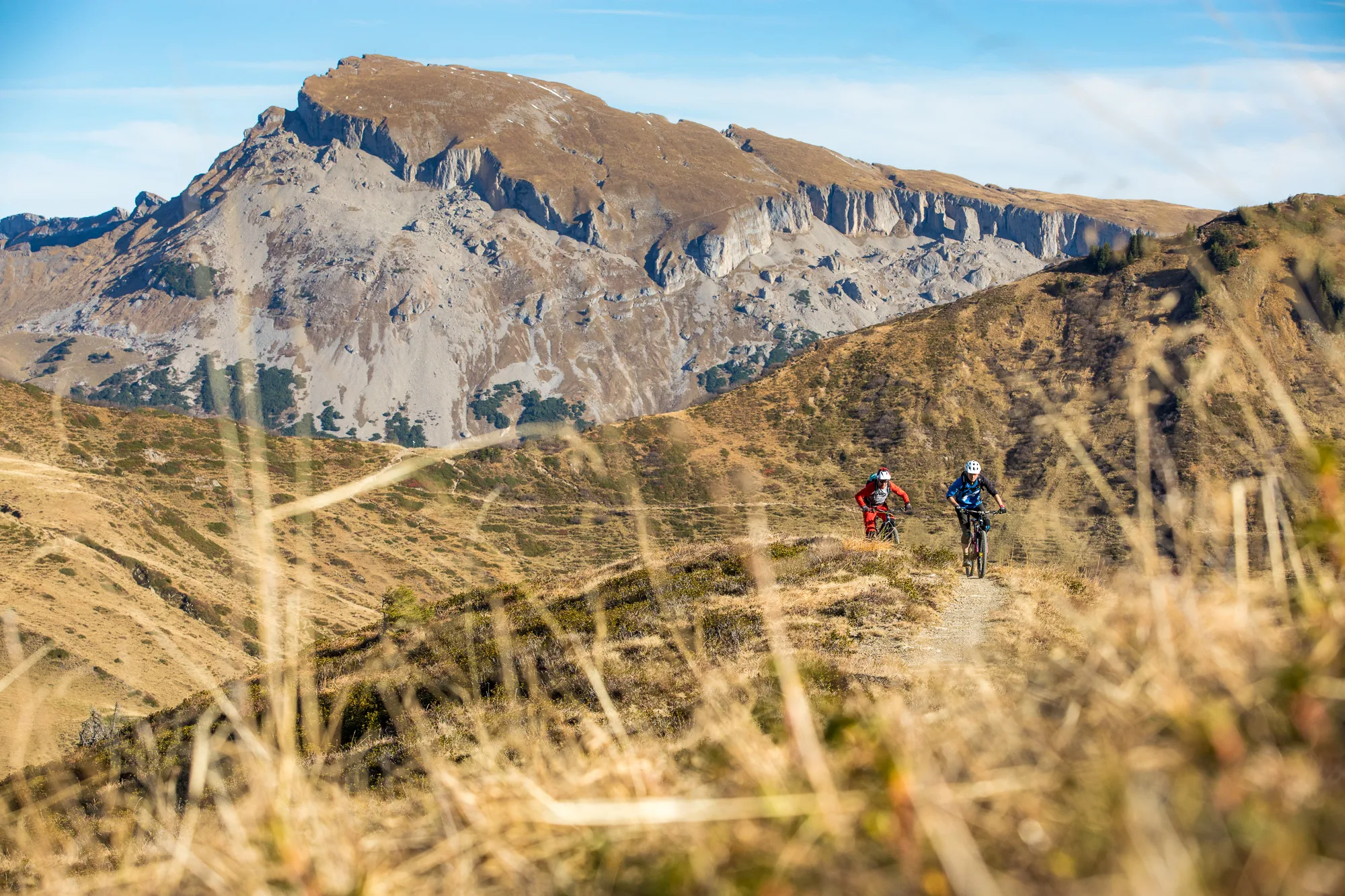 Enduro-Mountainbiker fahren auf einem Wiesenpfad vor dem Ifen