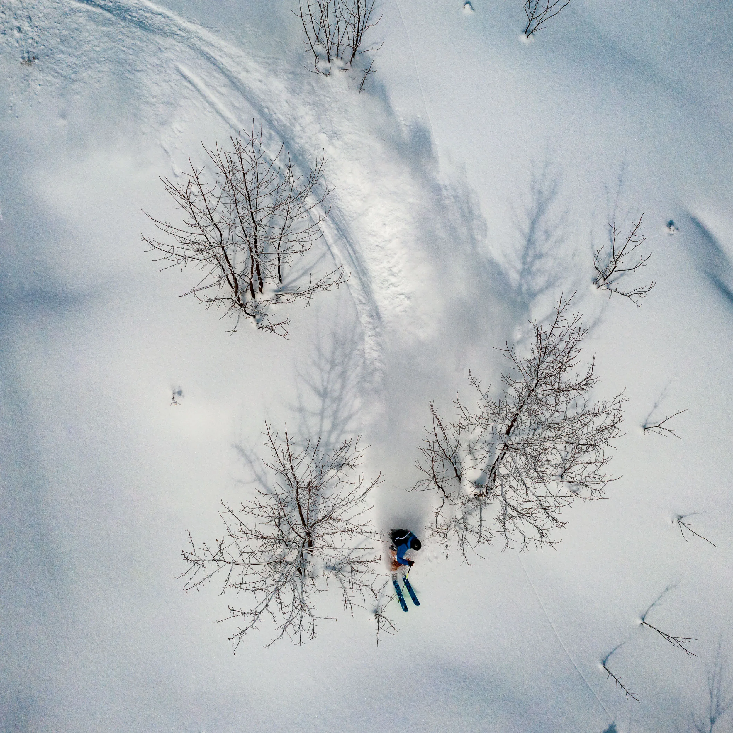 Florian Häusler fährt mit Ski durch tiefen Schnee zwischen kahlen Bäumen im Kleinwalsertal.