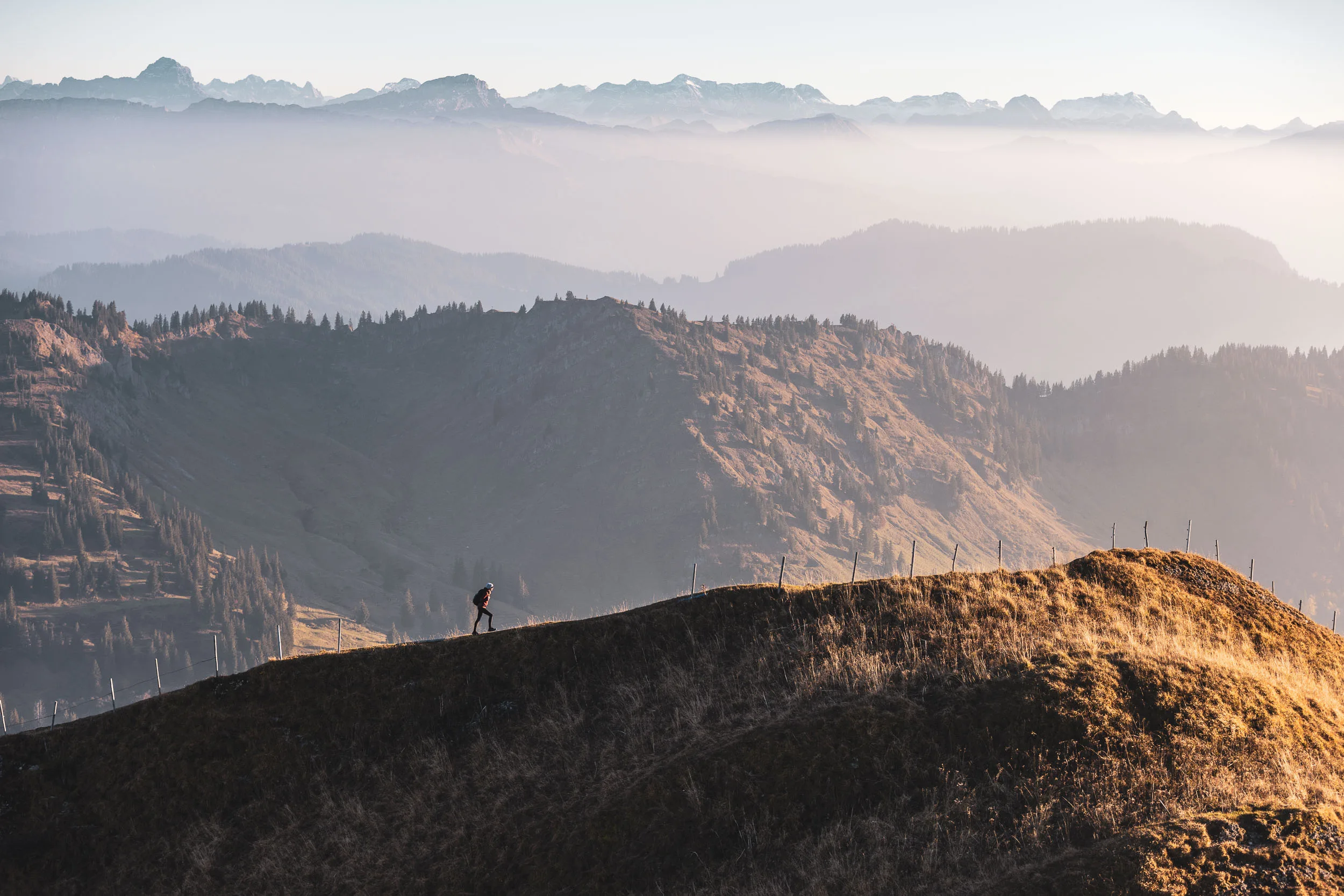 Wanderin folgt einem Höhenweg vor einem weiten Band aus Alpengipfeln