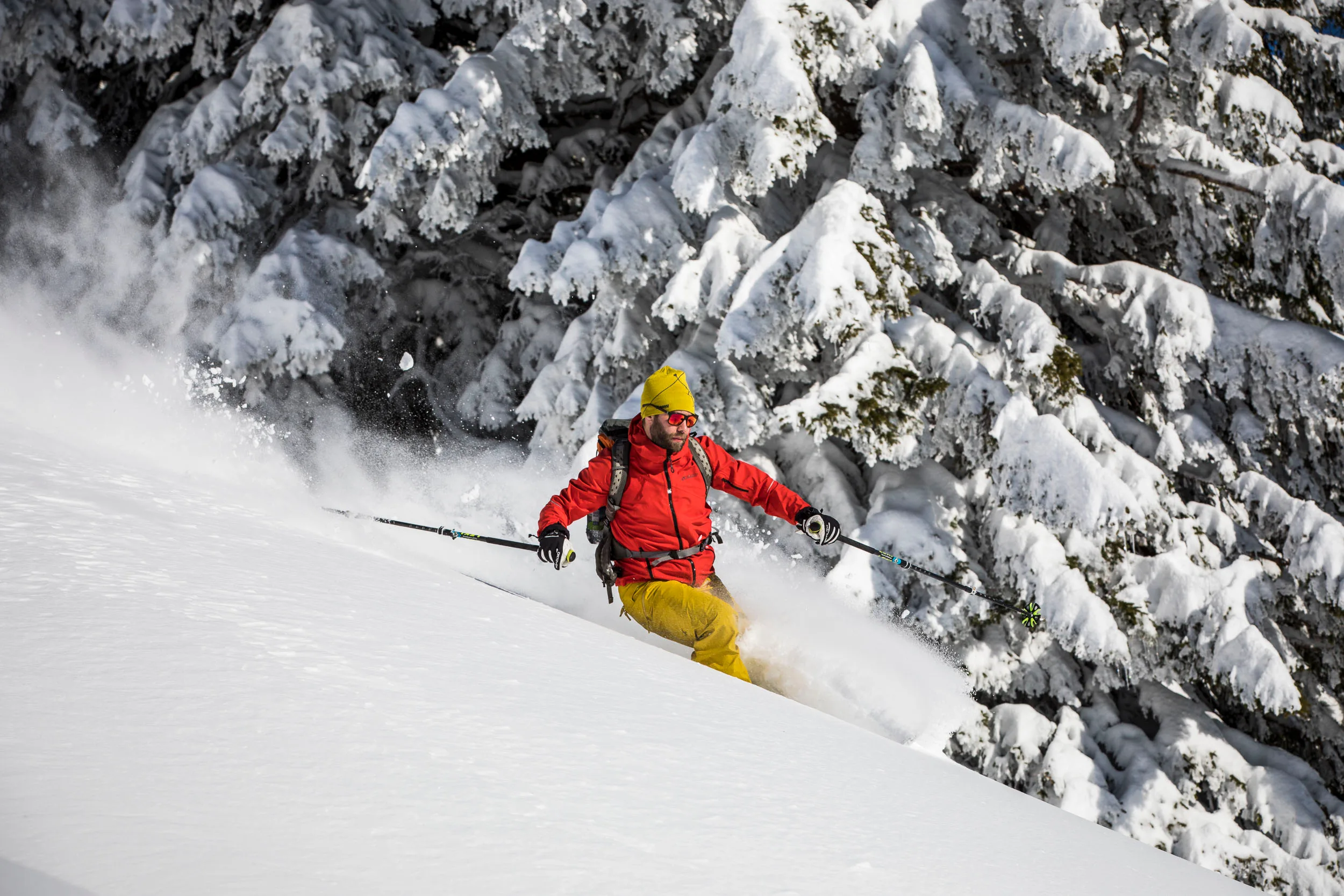 Skifahrer in roter Jacke fährt mit Pulverschnee an der Waldkante.