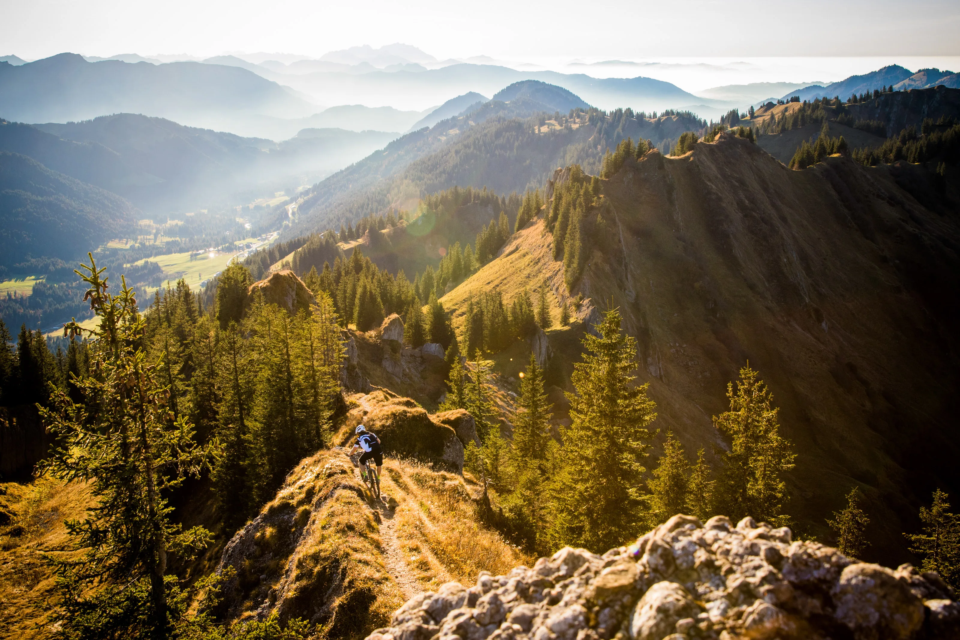 Florian Häusler fährt auf einem schmalen Bergtrail zwischen Fichten.