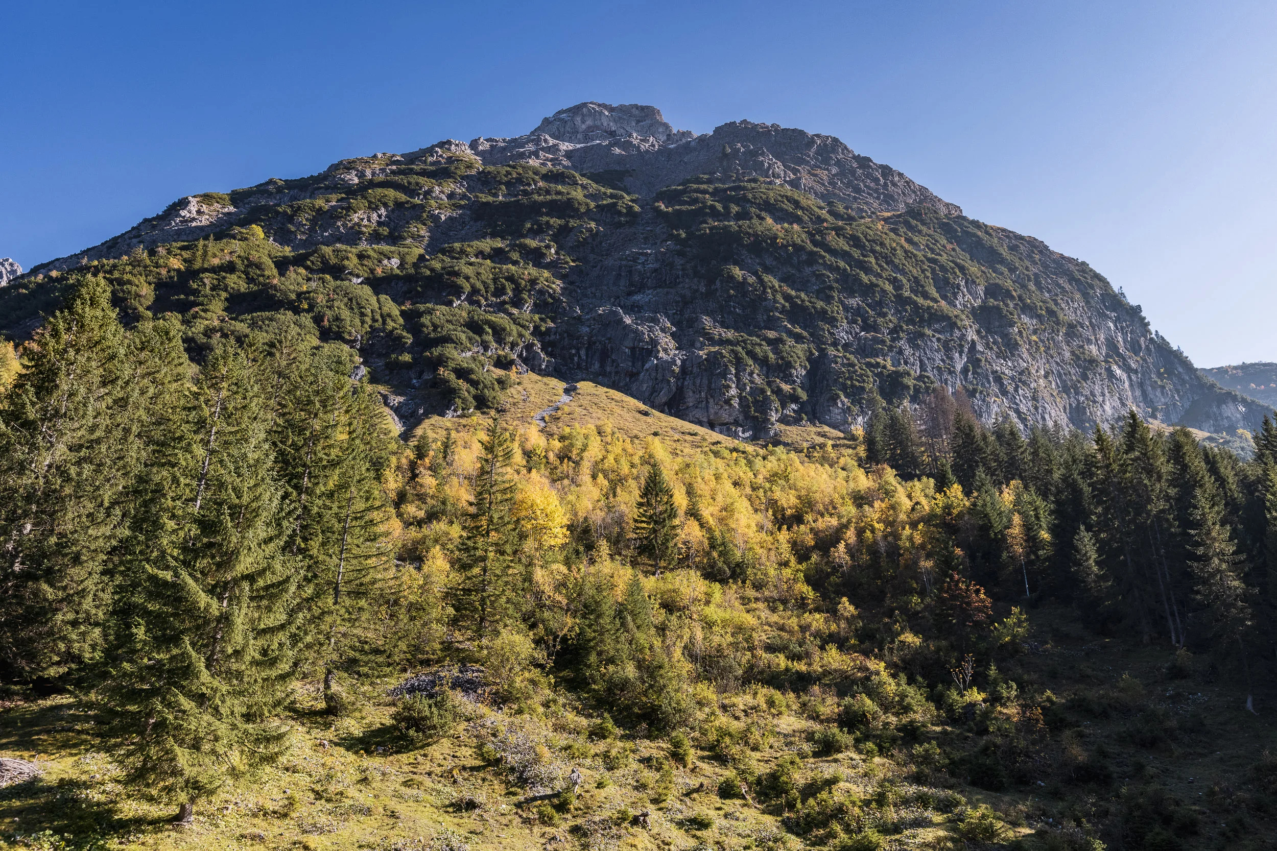 Herbstliche Bergflanke mit Wald und Felsen im Kleinwalsertal