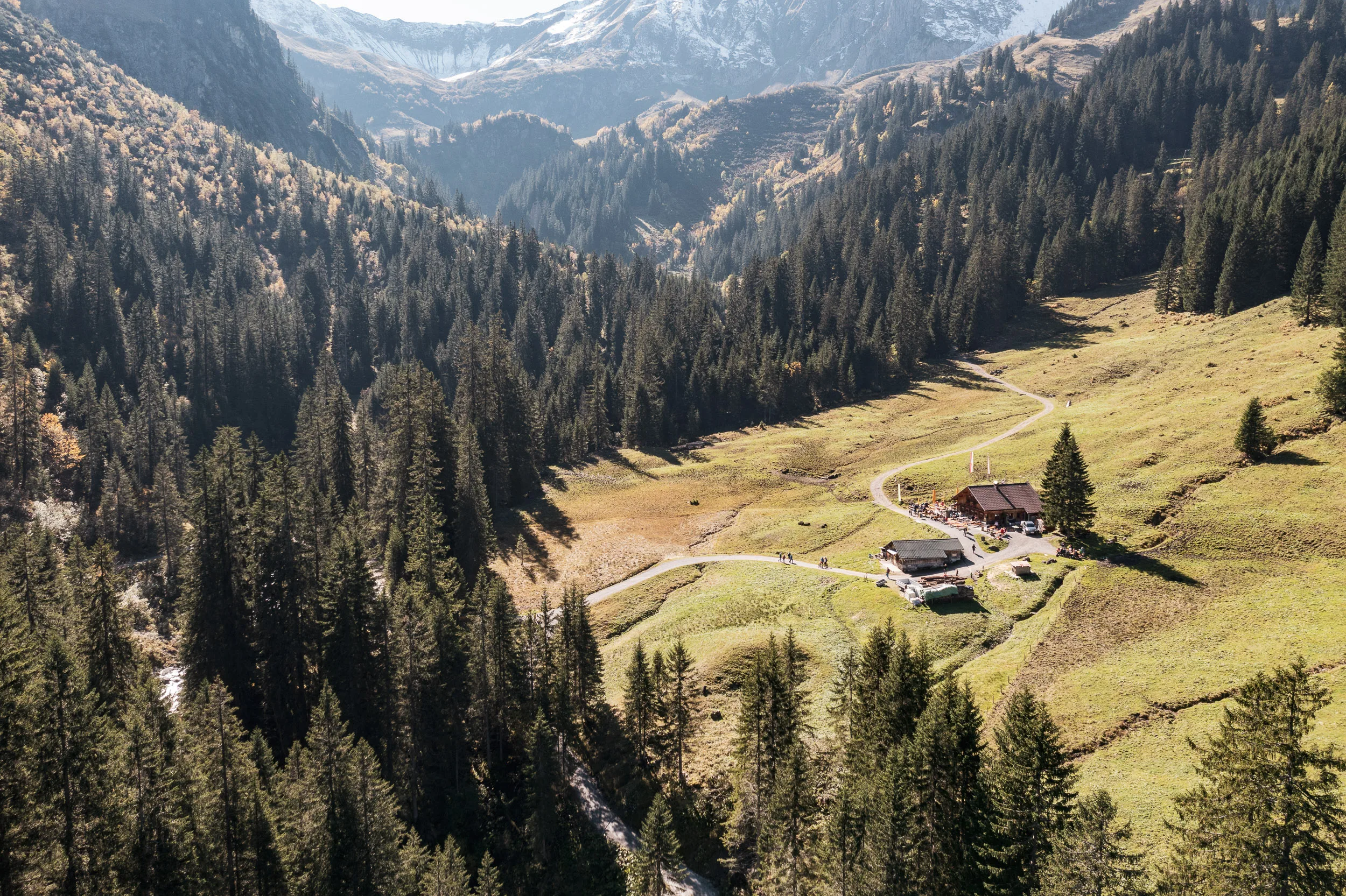 Luftaufnahme eines Fahrwegs durch Bergwiesen und Wald im Kleinwalsertal