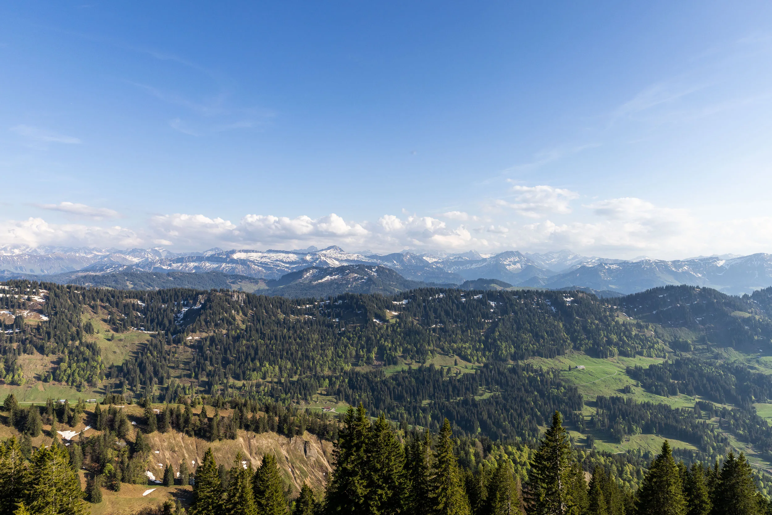 Blick vom Hochgrat über das Allgäu und die Nagelfluhkette in sommerlichem Licht.