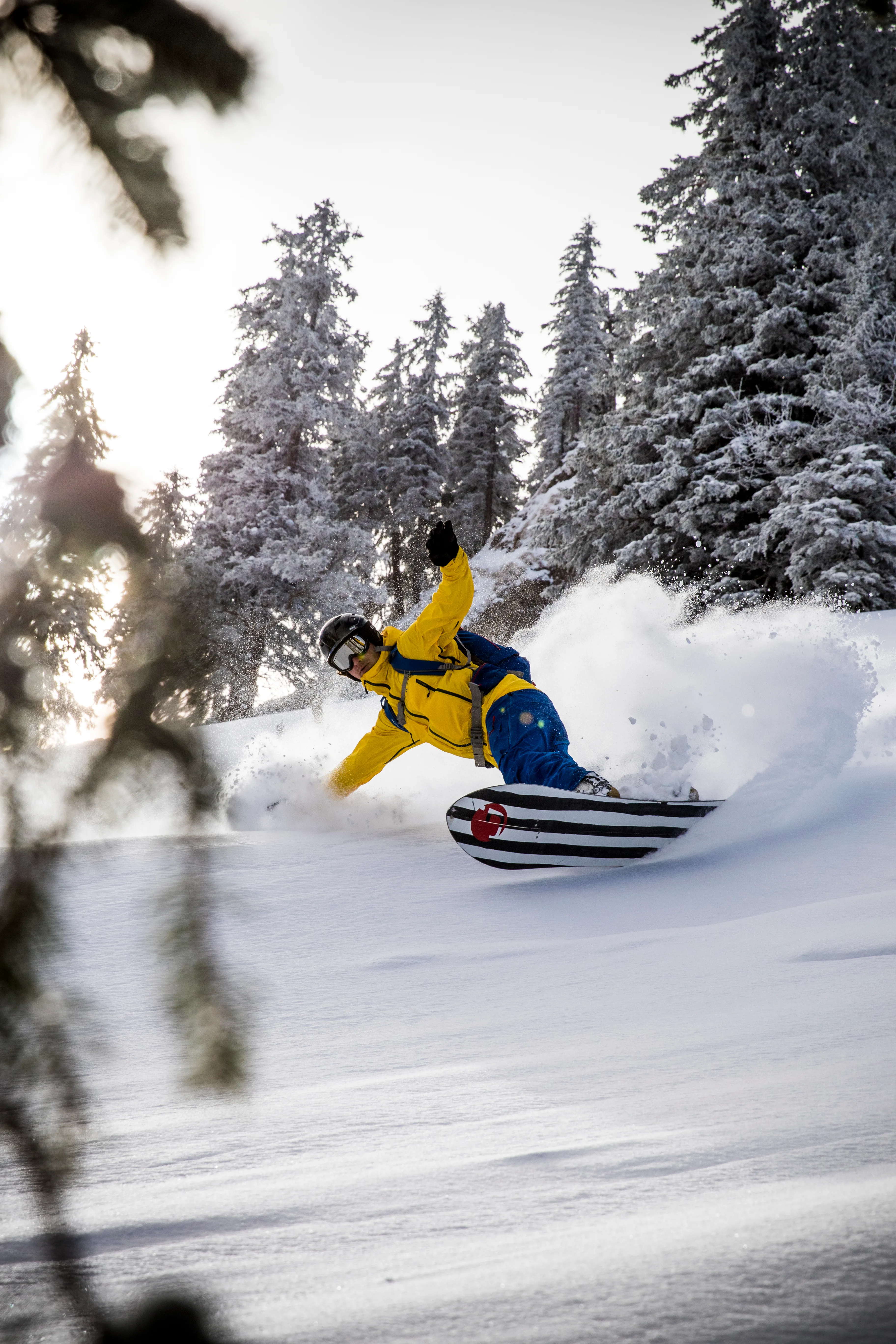 Ben Epp fährt mit dem Snowboard durch Pulverschnee in einem verschneiten Bergwald.
