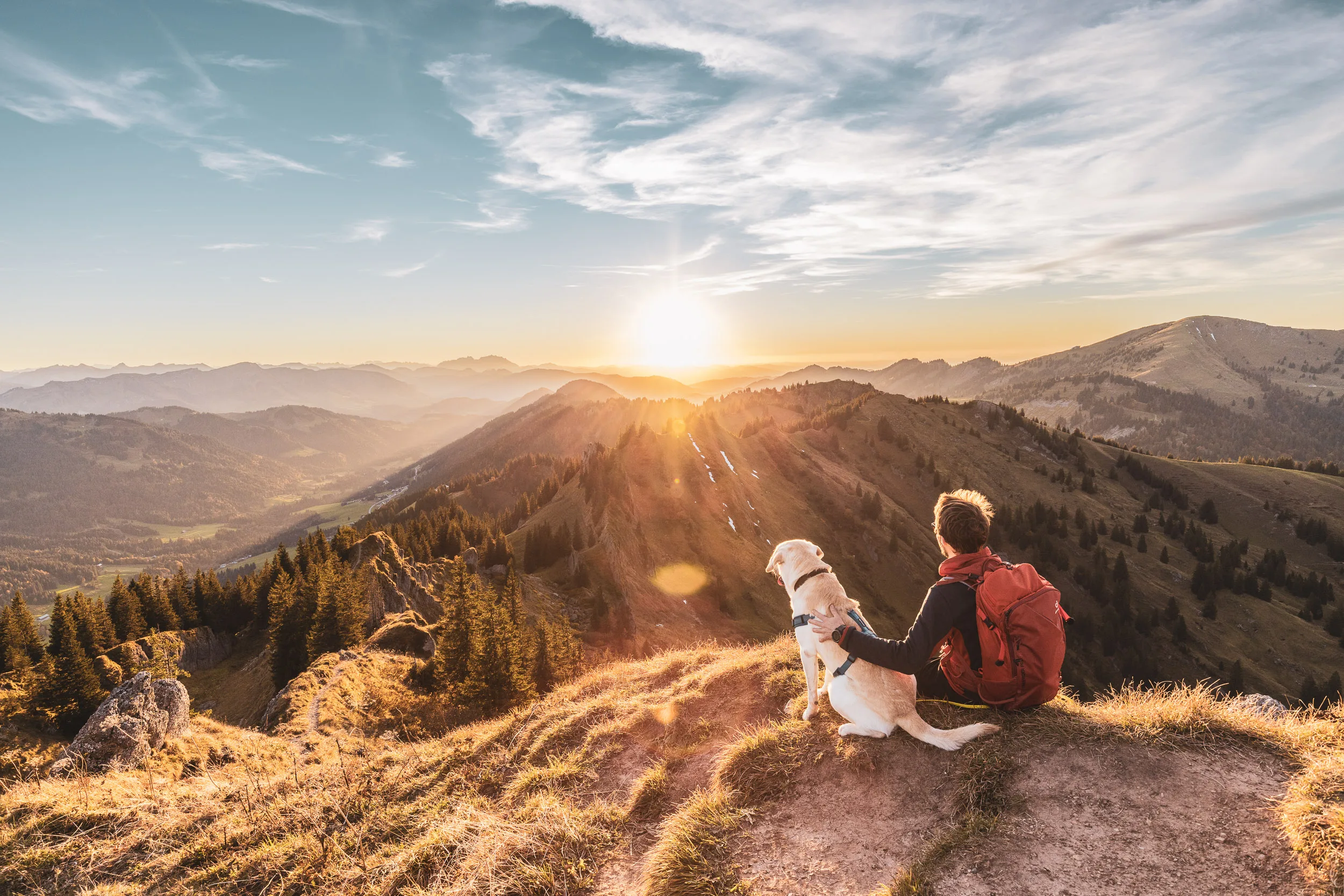 Andreas Kögel und Oskar sitzen auf einer Bergwiese und schauen in die Abendsonne