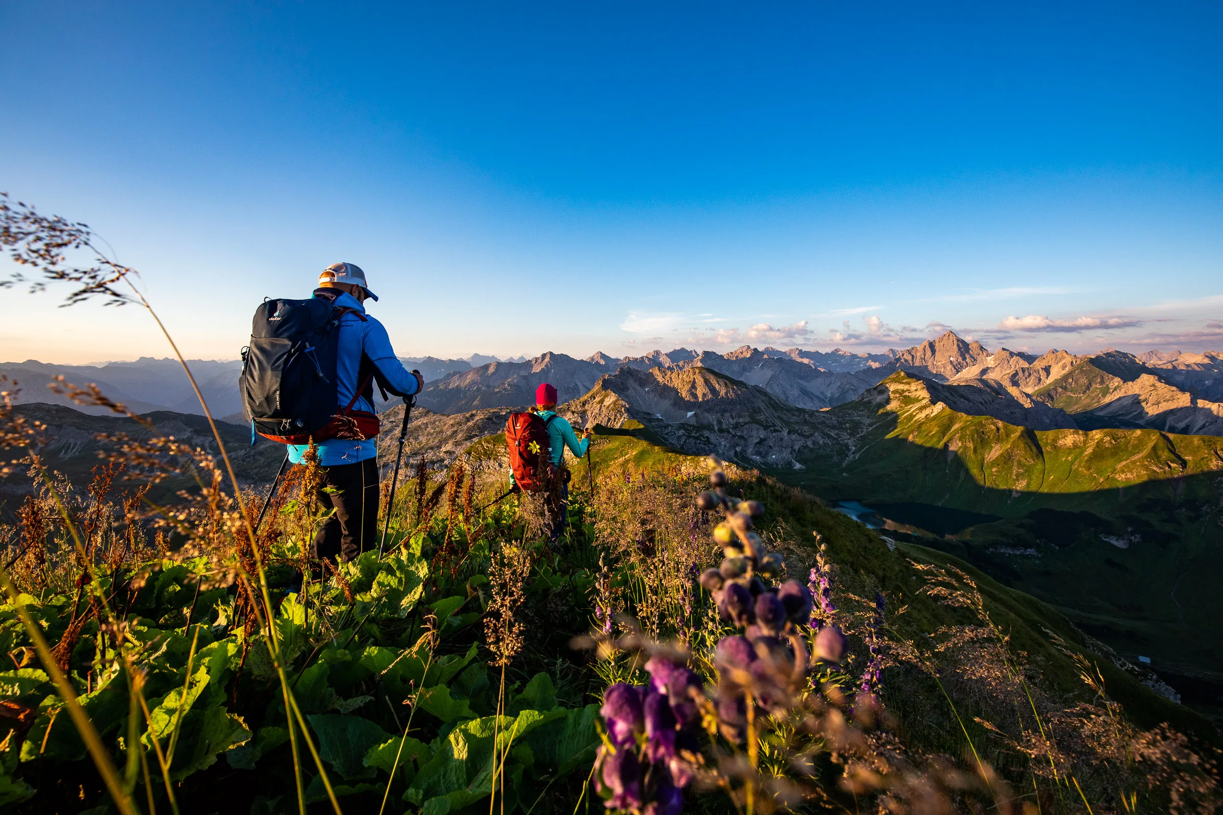 Caroline Nantke und Harald Dreyer stehen zwischen Alpenblumen vor einer weiten Bergkette