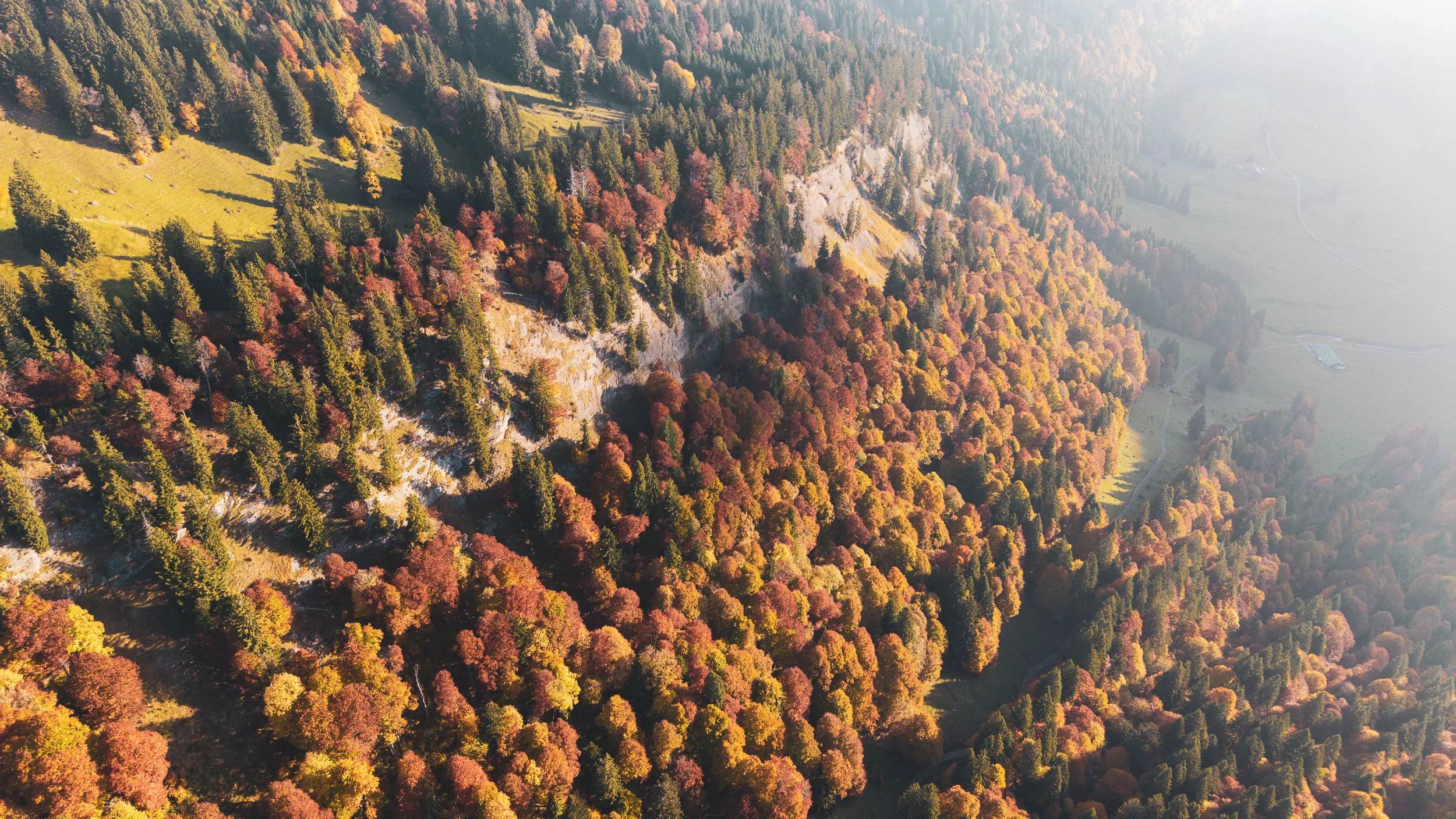 Graue Felswände ragen aus einem dichten Wald in kräftigen Herbstfarben