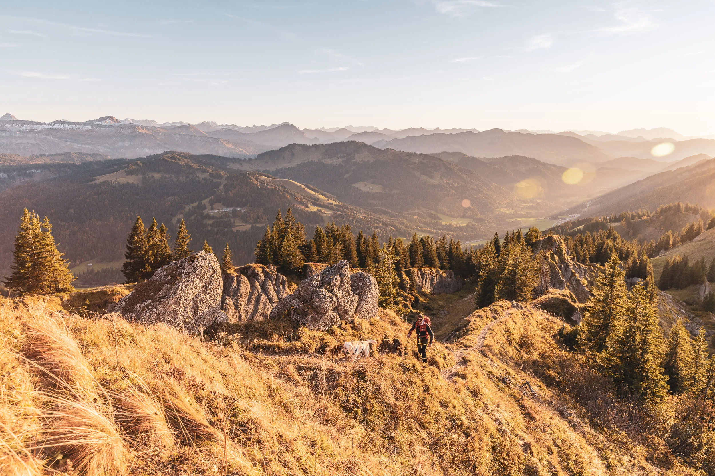 Sonnenbeschienene Bergwiesen und Felsformationen über den gestaffelten Gipfeln des Allgäus