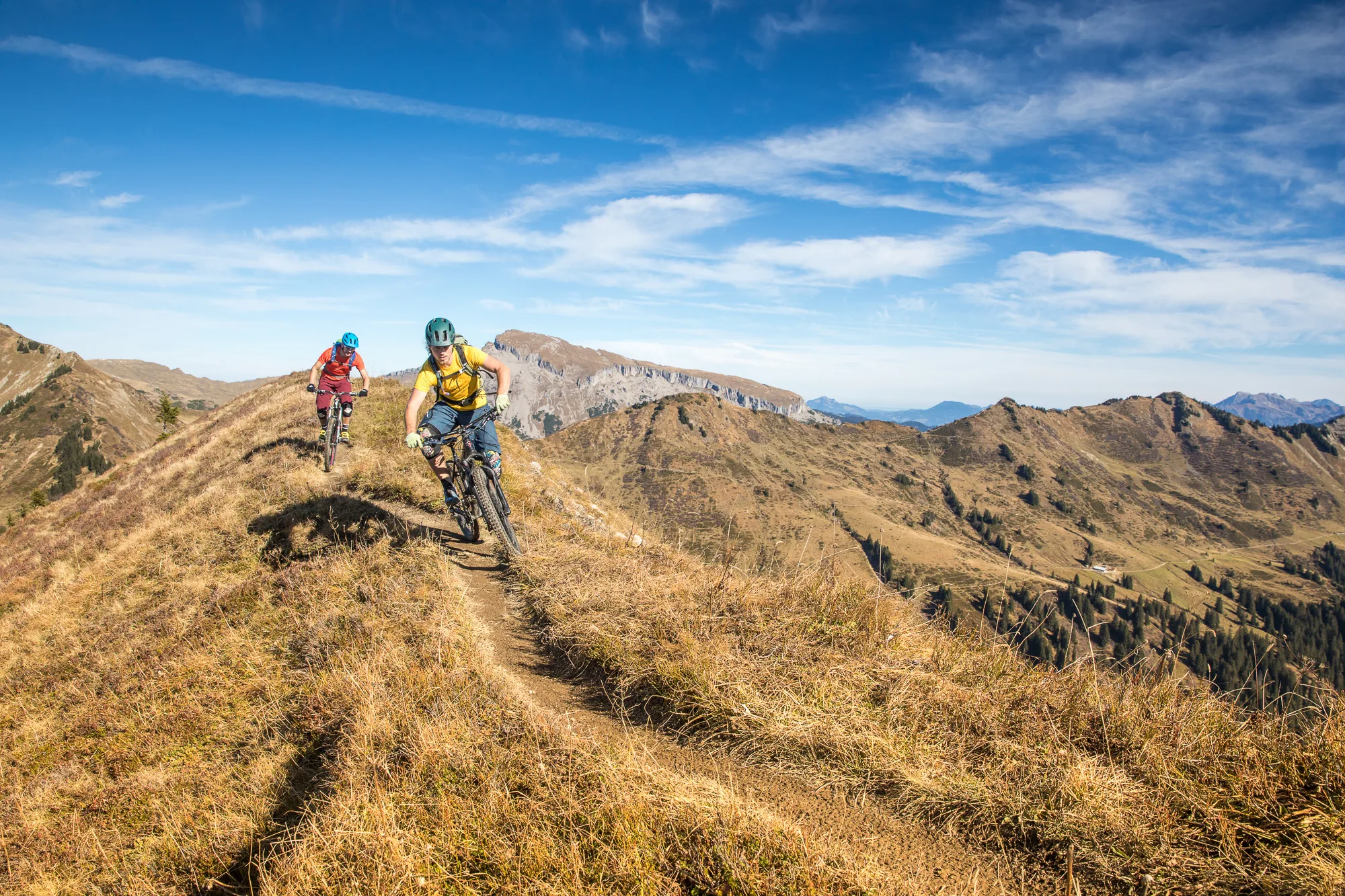 Zwei Mountainbiker rollen über eine grasige Bergkuppe im Kleinwalsertal