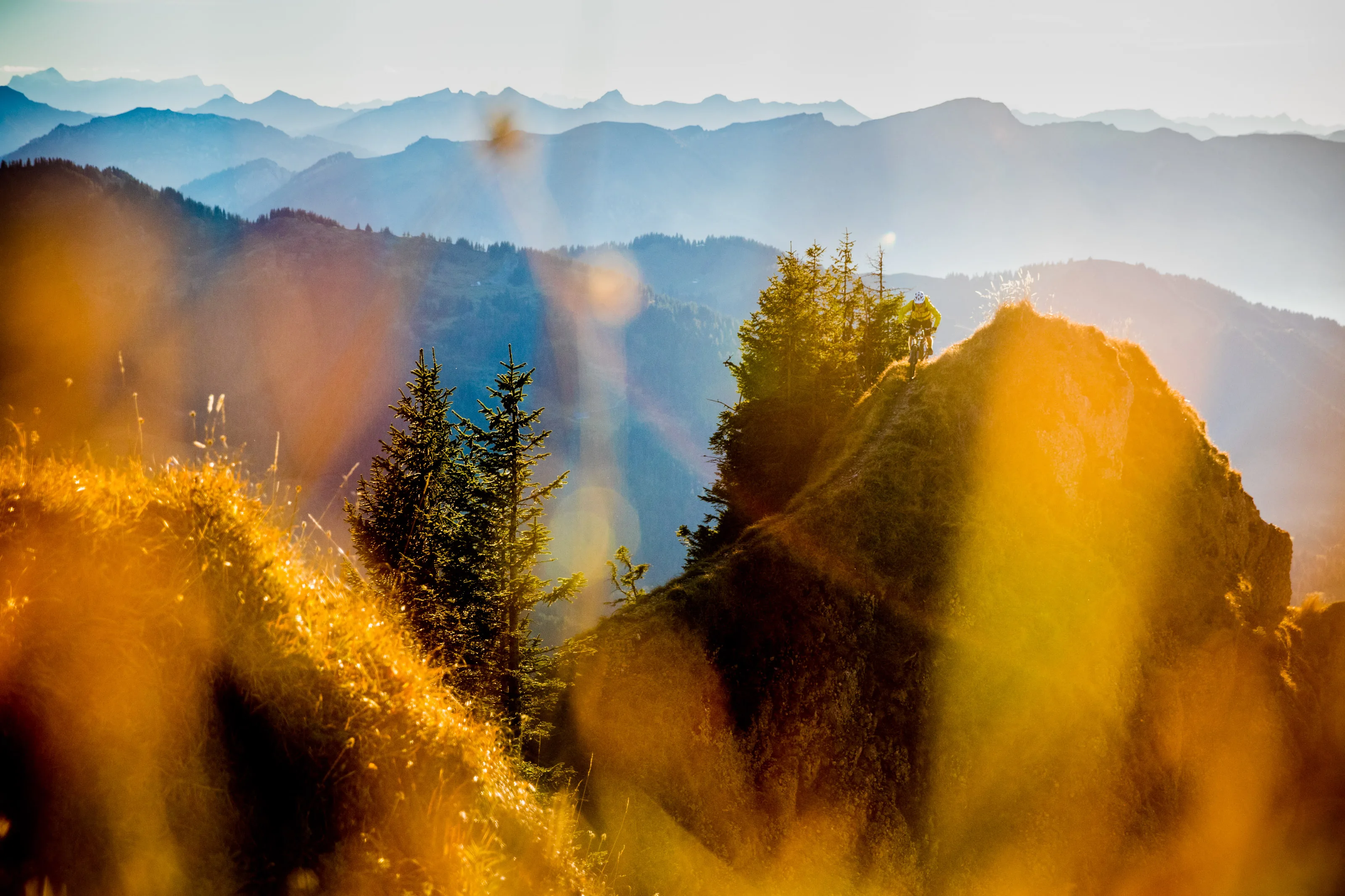Florian Häusler fährt auf einem Bergtrail im warmen Gegenlicht.