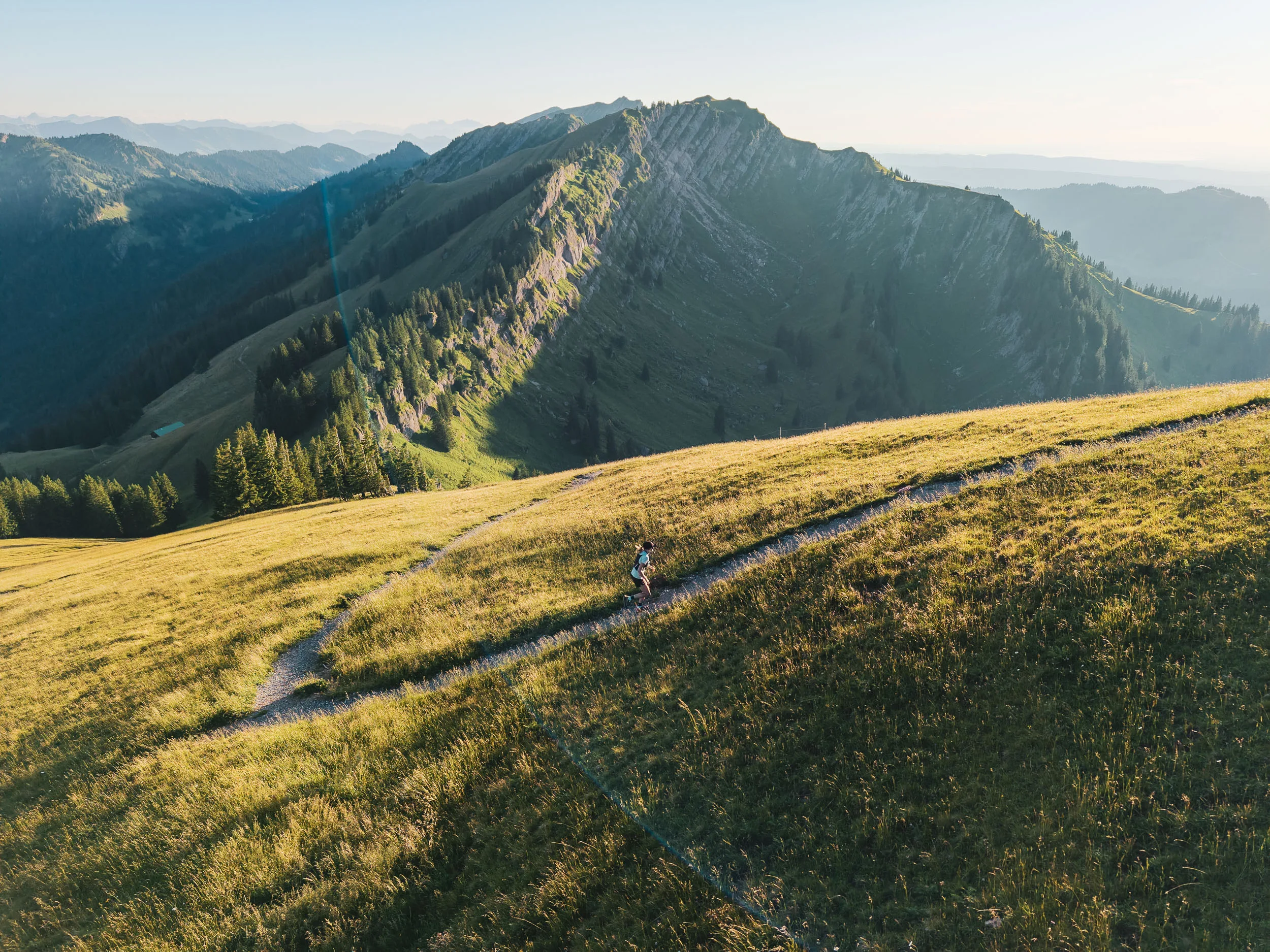 Eine Trailrunnerin läuft auf einer Serpentine durch sonniges Berggras vor den Felsgraten der Nagelfluhkette.