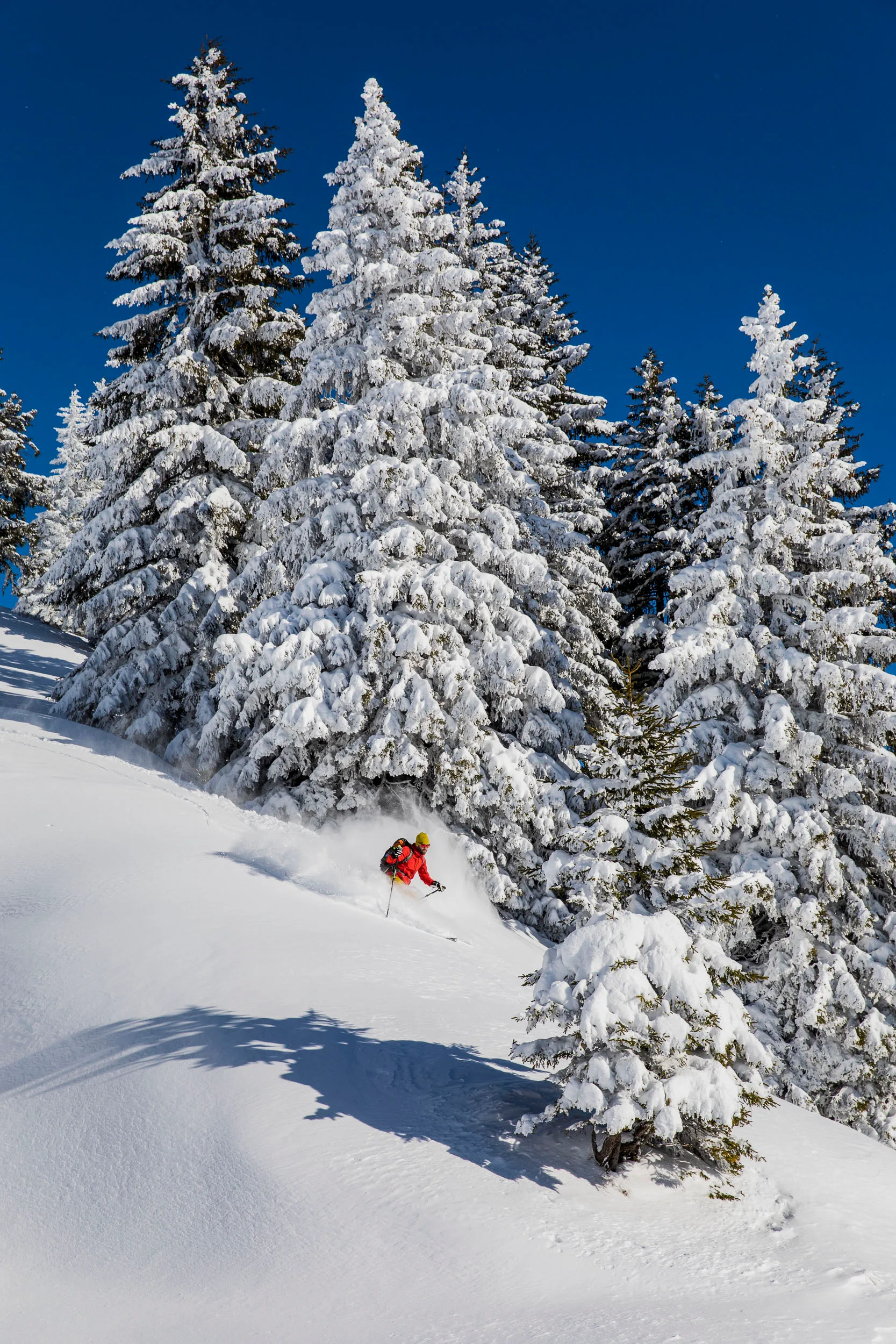 Skifahrer in roter Jacke zieht eine Linie durch lichten Winterwald.