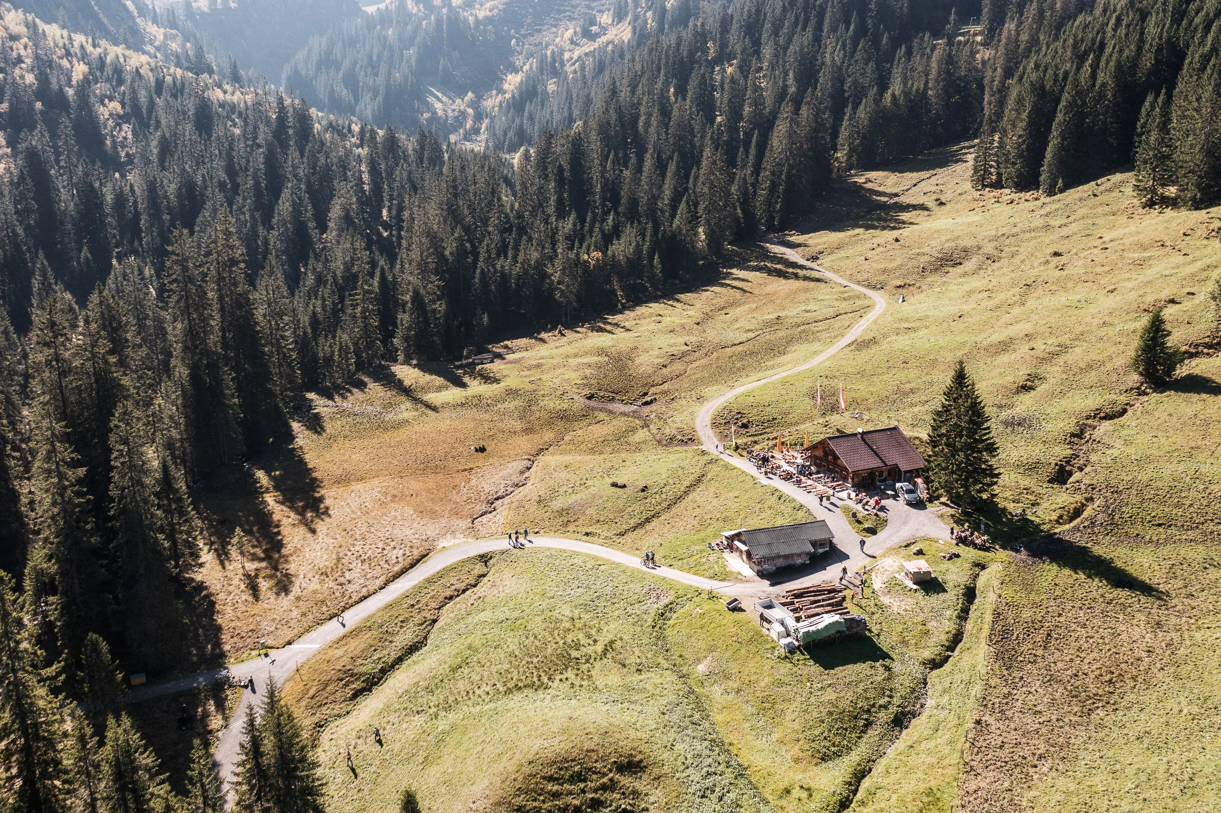Luftaufnahme einer Alm am Fahrweg inmitten herbstlicher Bergwiesen