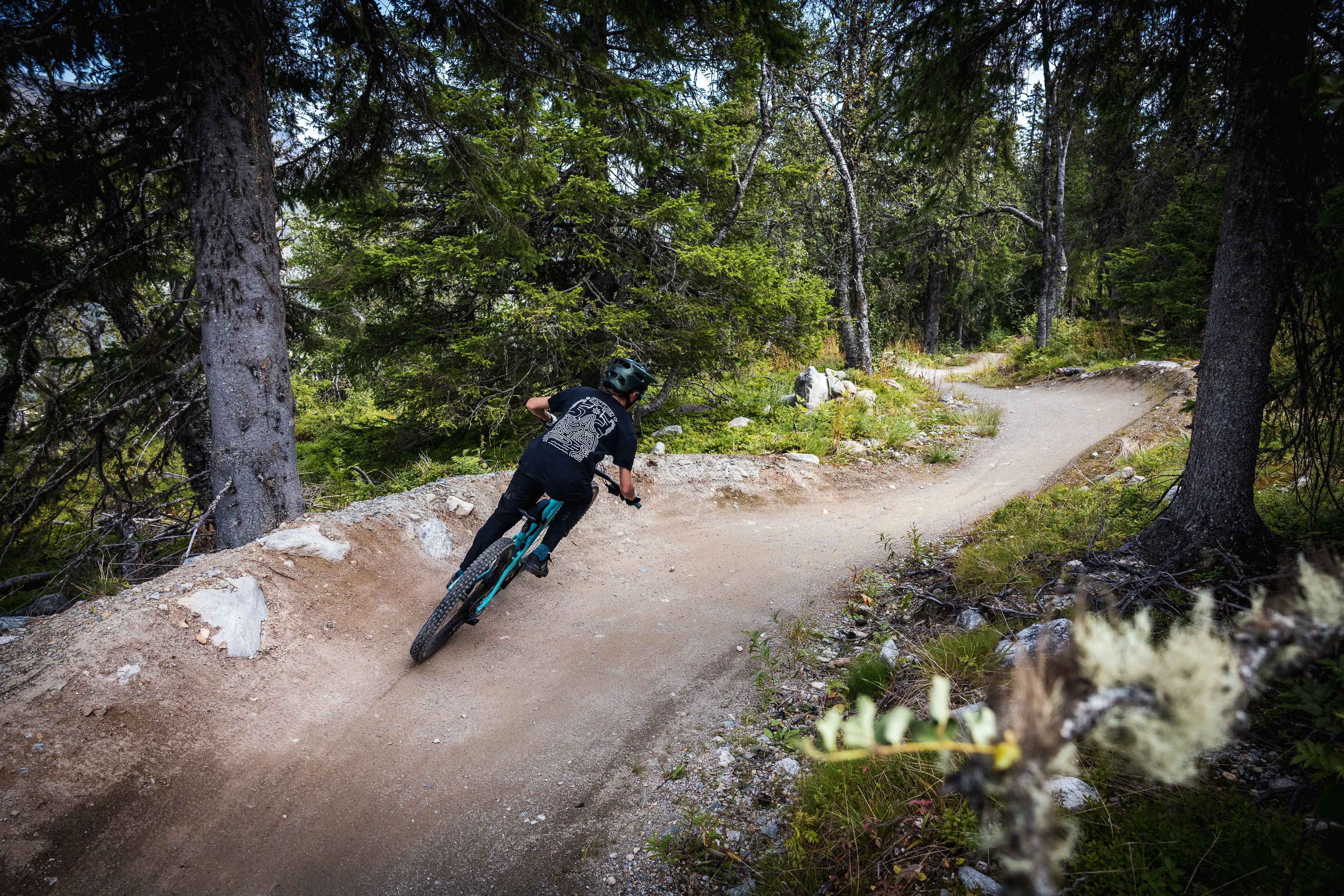 Mountainbiker fährt zwischen Fichten in eine enge Kurve auf festem Waldboden