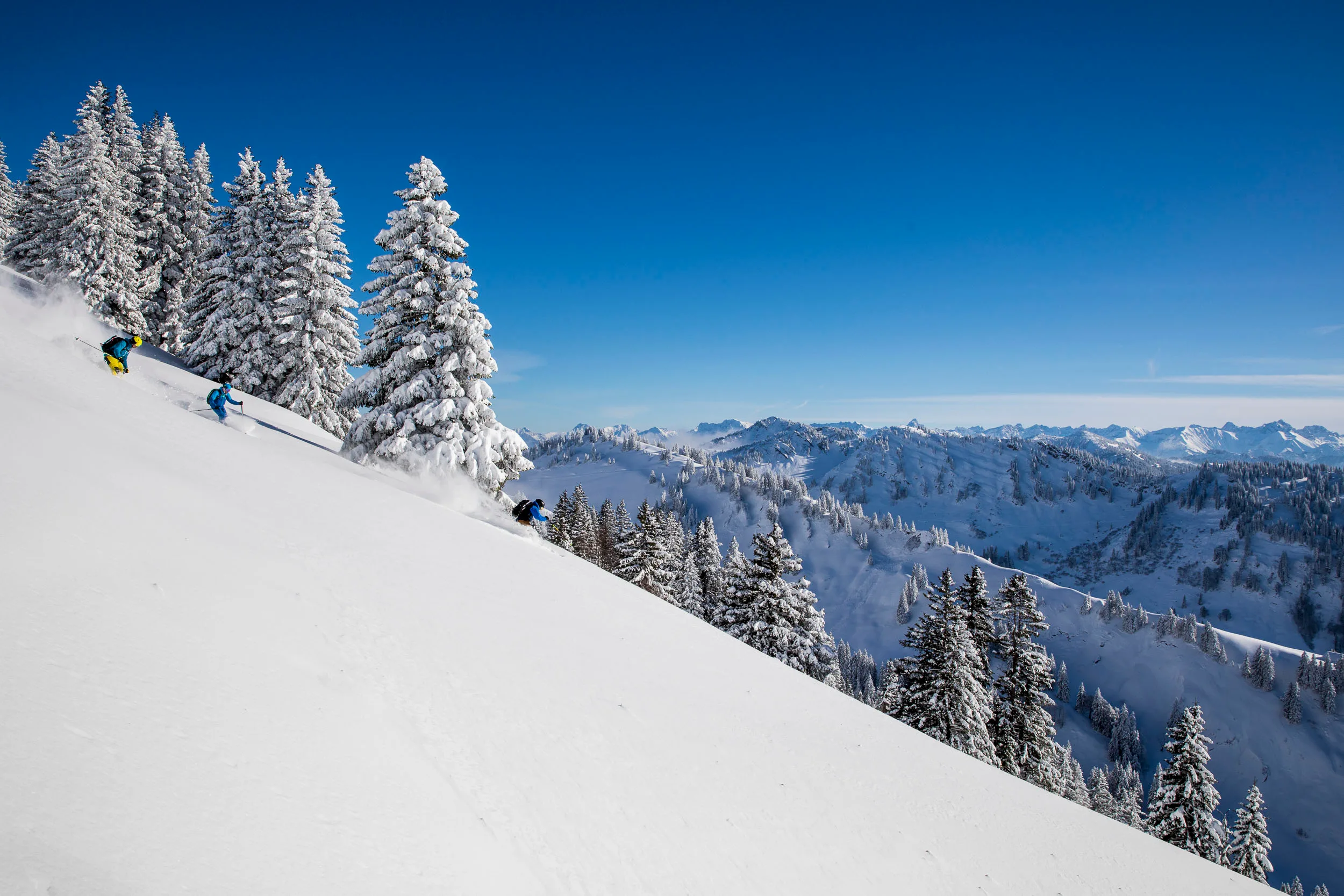 Drei Skifahrer queren einen weiten Hang unter schneebedeckten Bäumen.
