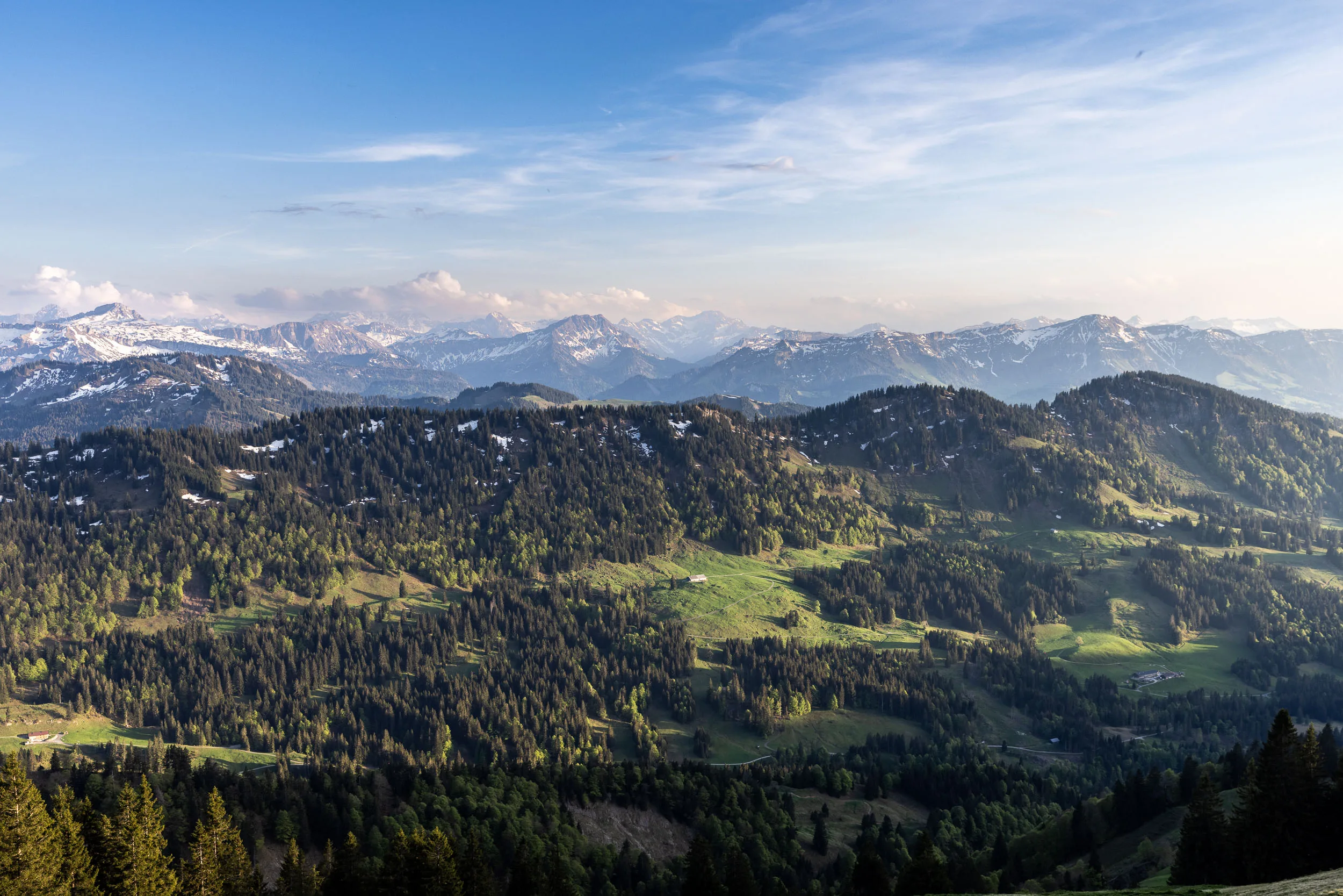 Blick vom Hochgrat über das Allgäu und die Nagelfluhkette in sommerlichem Licht.